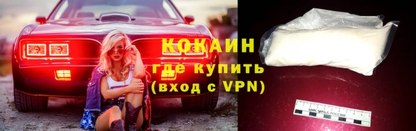 ПСИЛОЦИБИНОВЫЕ ГРИБЫ Богданович