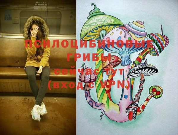ПСИЛОЦИБИНОВЫЕ ГРИБЫ Богданович
