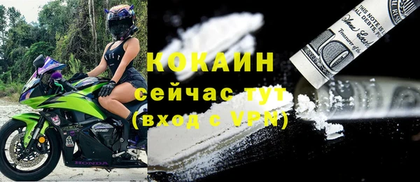 ПСИЛОЦИБИНОВЫЕ ГРИБЫ Богданович