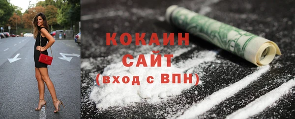 ПСИЛОЦИБИНОВЫЕ ГРИБЫ Богданович