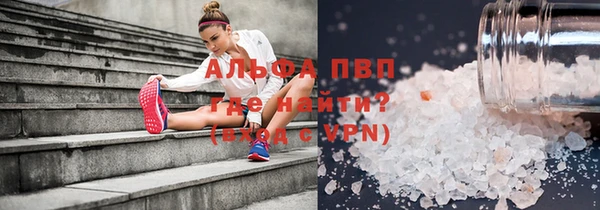 ПСИЛОЦИБИНОВЫЕ ГРИБЫ Богданович