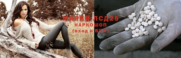 ПСИЛОЦИБИНОВЫЕ ГРИБЫ Богданович