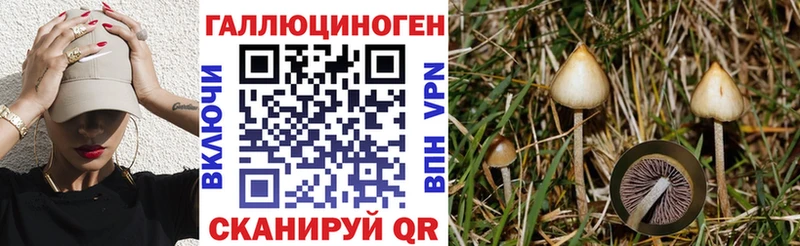 ссылка на мегу сайт  Шали  Псилоцибиновые грибы MAGIC MUSHROOMS 